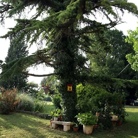Garden *